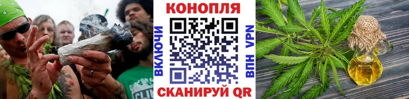 Шишки марихуана Amnesia  даркнет сайт  Гатчина 
